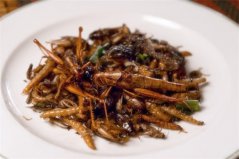 全球十大昆蟲美食：活蝎子入榜，蝗蟲排第一位