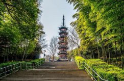上海著名的六大森林公園，佘山國家森林公園排第一